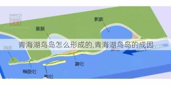 青海湖鸟岛怎么形成的,青海湖鸟岛的成因